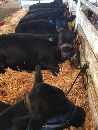 Santa Barbara County Fairgrounds and Convention Center